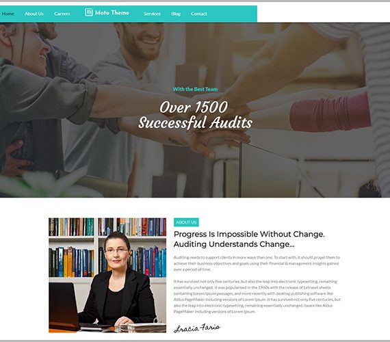 MOTO Accountant………………………$46